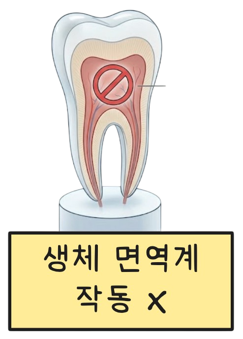 스크린샷 2026-06-05 오전 10.30.18-Photoroom.png